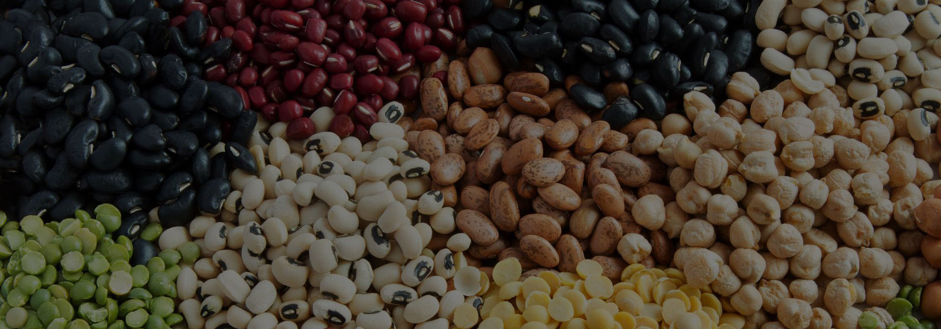 Frejoles andinos perubean lima peru importacion de granos arroz extraandino planta procesadora