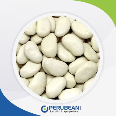 Pallar por Saco de 25kg